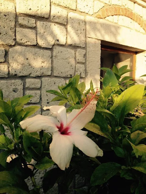 Pasha Port Hotel & Restaurant Alacati